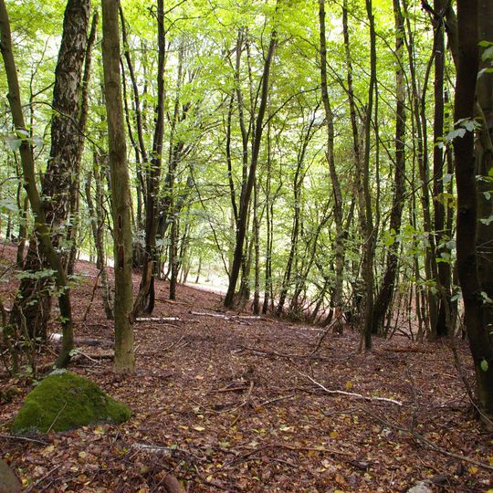 Lüchow-Dannenberg District