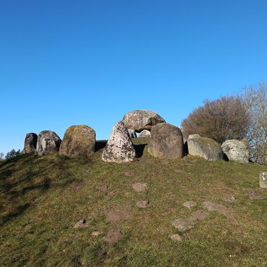 Dolmen von Frenderupgård