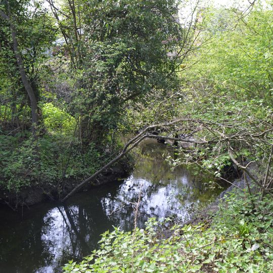Salary Brook Local Nature Reserve