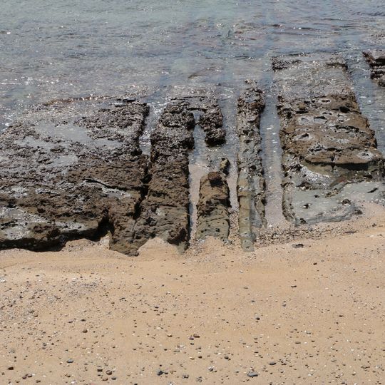 Mud Dykes of Torinosu Peninsula