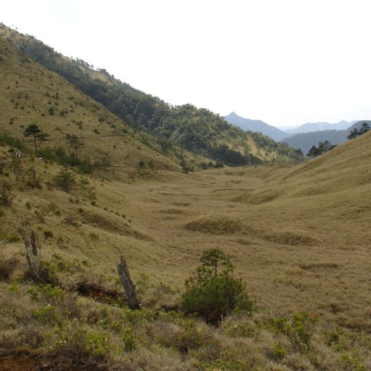 Batongguan Grassland