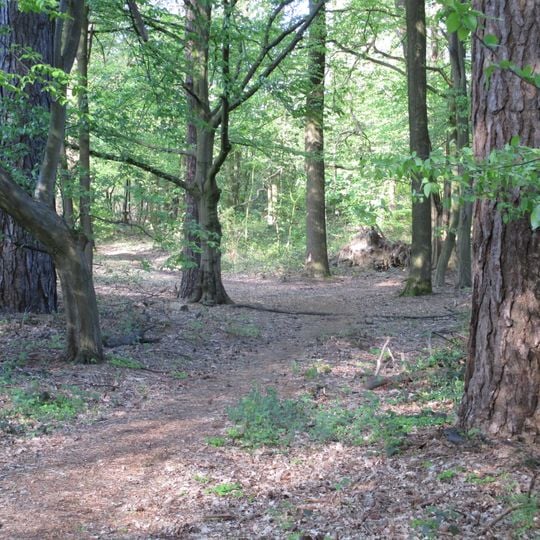 NSG Waelder bei Hugenpoet und Landsberg <B>