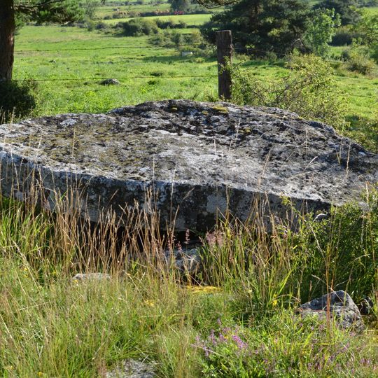 Dolmen de Recoules