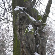 Socha svatého Jana Nepomuckého