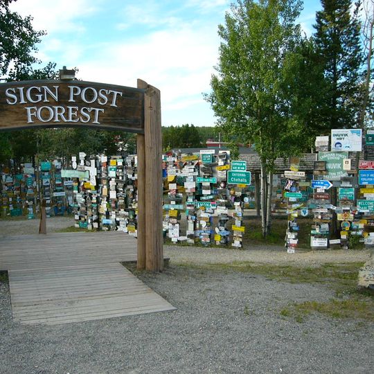 Sign Post Forest