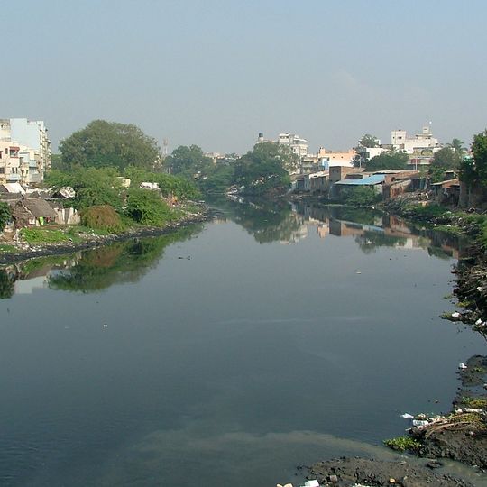 Cooum River