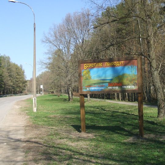 Левашовский лес