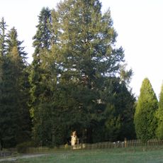 Douglaska na Třech trubkách