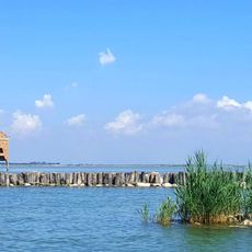 Parco regionale del Delta del Po