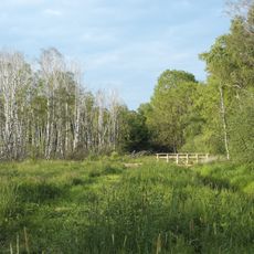 Pfrunger-Burgweiler Ried