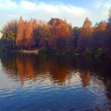 Emmarentia Dam