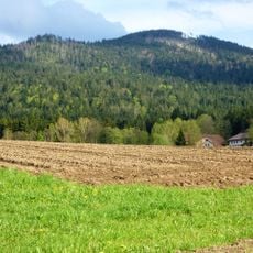 Oberer Bayerischer Wald