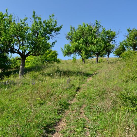Stráně nad Chomutovkou