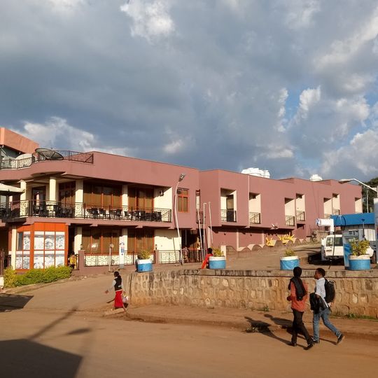 Aleta Wendo
