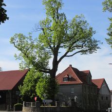 Linde Lengefelder Tor