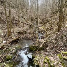 Sondertal und Talgraben bei Bad Wildungen