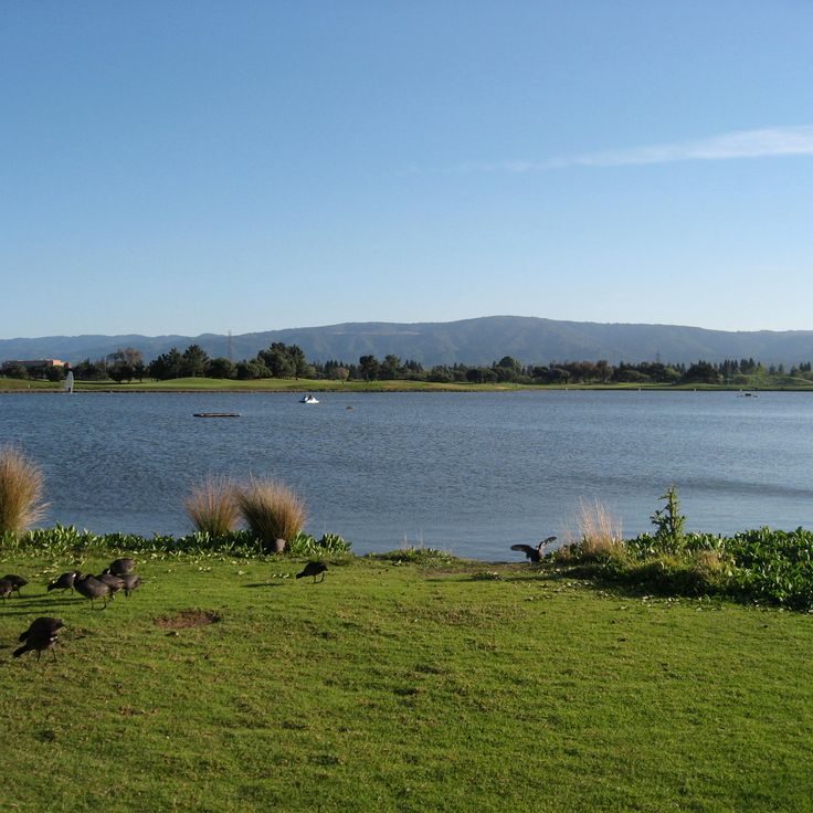 Shoreline Park, Mountain View
