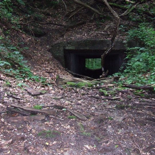 Smalspoortunnel De Hondsdiek