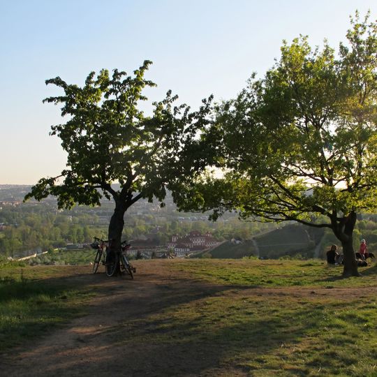 Cherry orchard Havránka