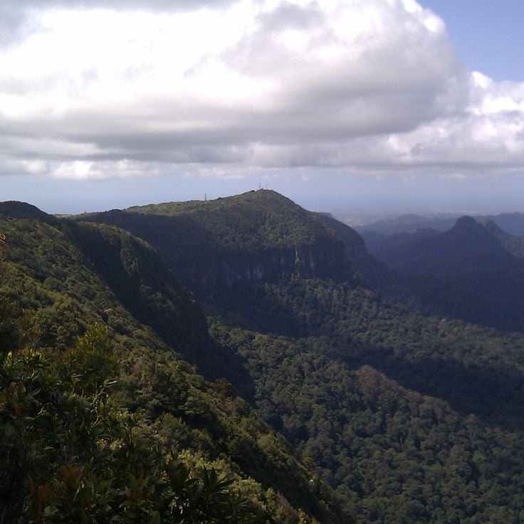 Springbrook National Park
