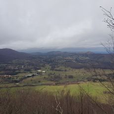 Maschio dell'Ariano