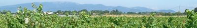 Panoramic View 1