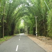 distretto di Wayanad