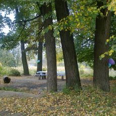 Парк с прудами (Лыткарино)