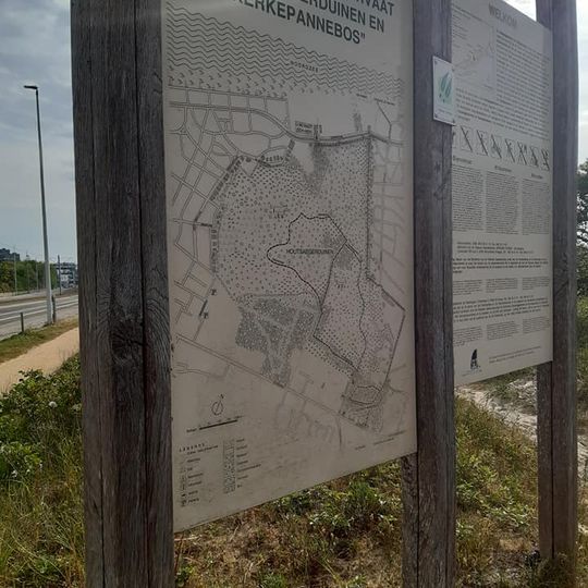 Houtsaegerduinen en het Kerkepannebos
