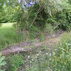 Moat Farm moated site, 650m west of Goodwyns Farm