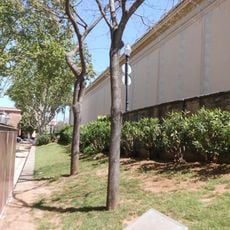 Les sòfores evangelistes