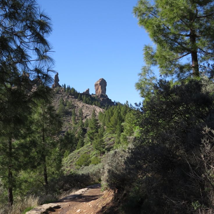 Roque Nublo