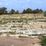 Tas-Silġ Archaeological Complex