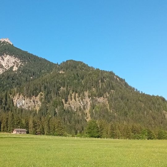 Oberbodenkopf