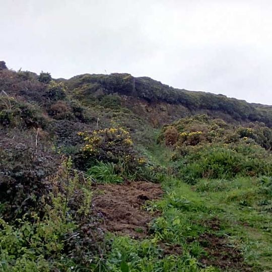 Castro de Lavacerido