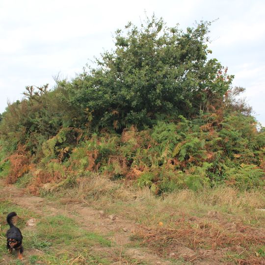 Dolmen de Nelhouët