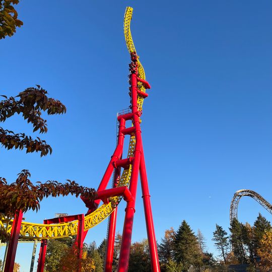 Vertical Velocity