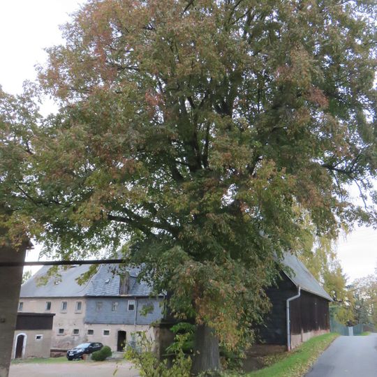 Ortelsdorfer Straße 33 Chemnitz-Ebersdorf