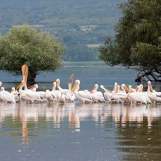 Techniti Limni Kerkinis - Oros Krousia