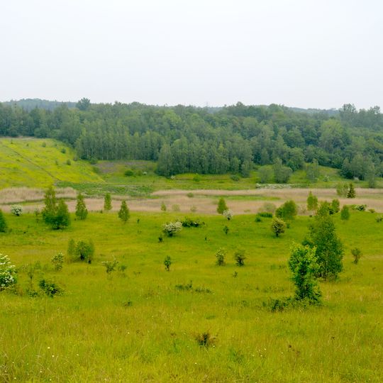 Kammmolch-Biotop Tagebau Haverlahwiese