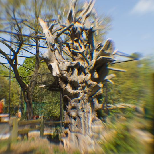 Aviary at the Houston Zoo