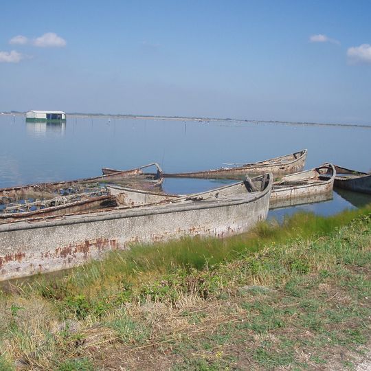 Albarella