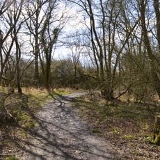 Rushbeds Wood