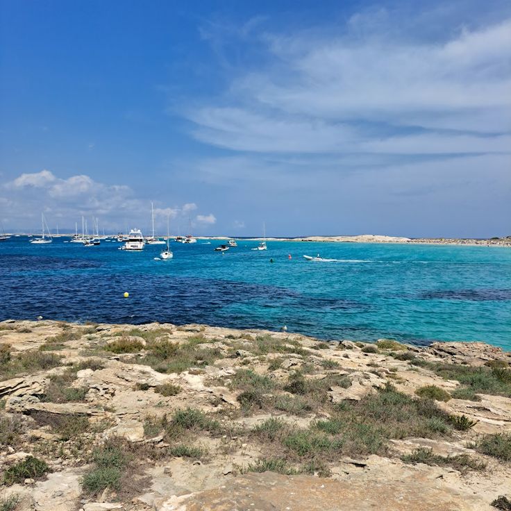 Platja de ses Salines