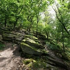 Hangwälder und Felsfluren am Kaisertempel/Martinswand b. Eppstein