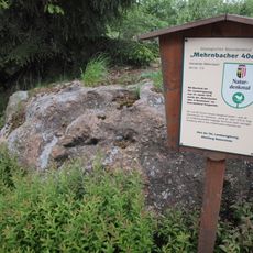 Mehrnbacher Vierziger