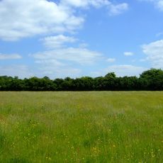 Upwood Meadows