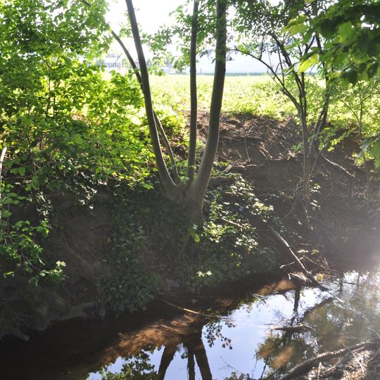 Kohlbachtal und angrenzende Gebiete