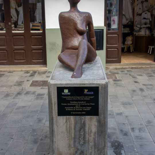 Transcendiendo la imposición del cuerpo