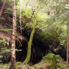 T-S 59 U břízy casemate